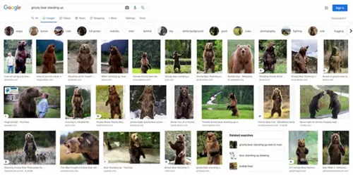 موتور جستجوی گوگل برای تصاویر
